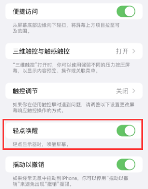 定西苹果授权维修站分享iPhone轻点无法唤醒怎么办