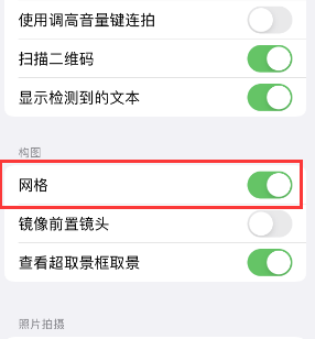 定西苹果手机维修网点分享iPhone如何开启九宫格构图功能 