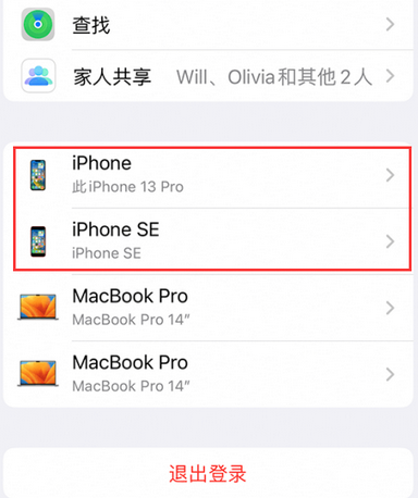 定西苹定西果维修网点分享iPhone如何查询序列号