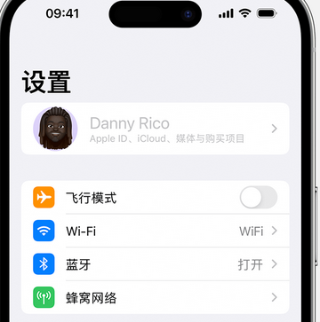 定西appleID维修服务iPhone设置中Apple ID显示为灰色无法使用 