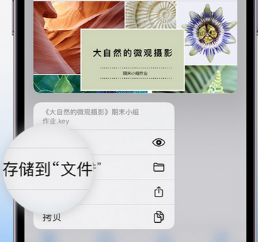 定西apple维修中心分享iPhone文件应用中存储和找到下载文件