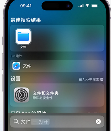 定西apple维修中心分享iPhone文件应用中存储和找到下载文件 