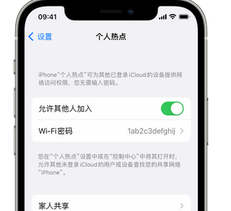 定西apple服务站点分享iPhone上个人热点丢失了怎么办 