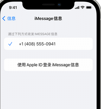 定西apple维修iPhone上无法正常发送iMessage信息 