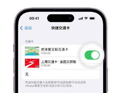 定西apple维修点分享iPhone上更换Apple Pay快捷交通卡手绘卡面 