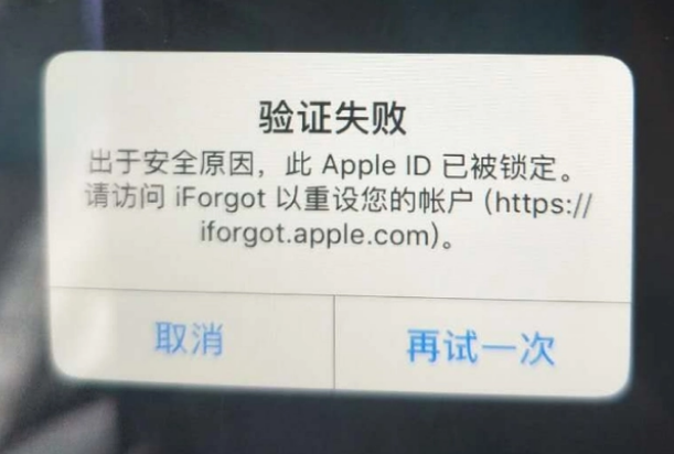 定西iPhone维修分享iPhone上正常登录或使用AppleID怎么办 