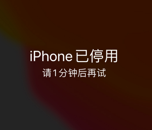 定西苹果手机维修分享:iPhone 显示“不可用”或“已停用”怎么办？还能保留数据吗？ 