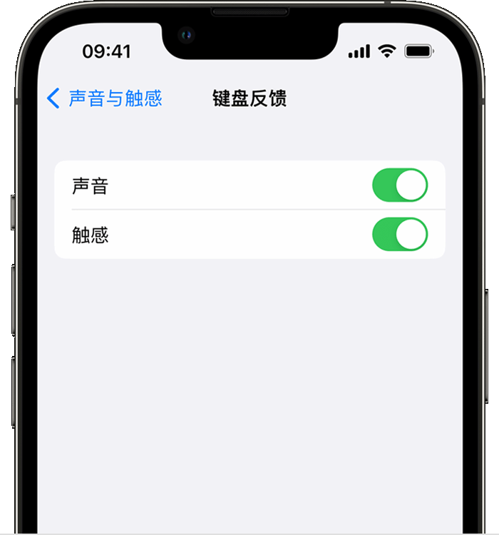 定西苹果14维修店分享如何在 iPhone 14 机型中使用触感键盘 