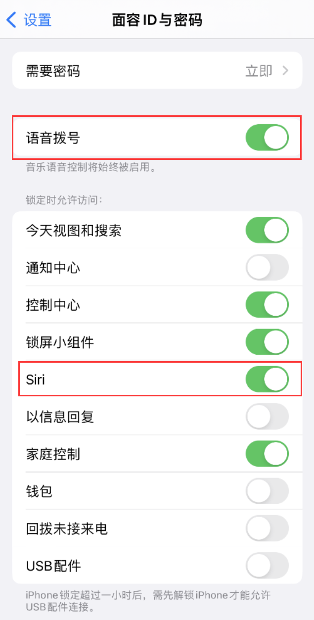 定西苹果维修网点分享不解锁 iPhone 的情况下通过 Siri 拨打电话的方法 