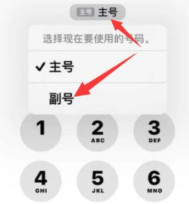 定西苹果14维修店分享iPhone 14 Pro Max使用副卡打电话的方法 