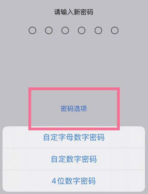 定西苹果14维修分享iPhone 14plus设置密码的方法 