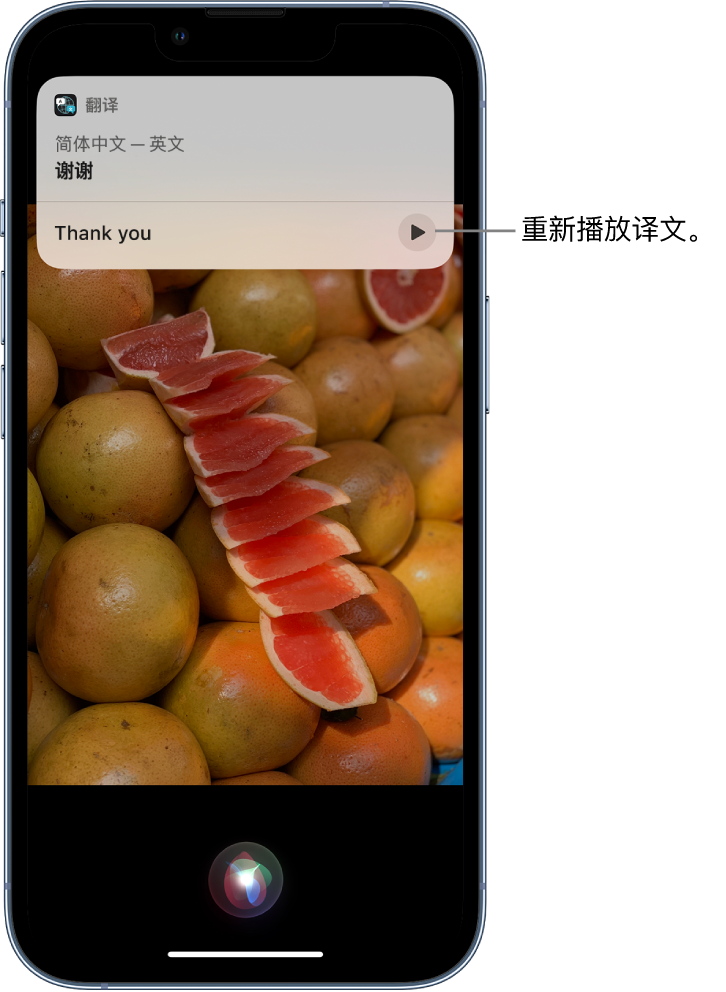 定西苹果14维修分享 iPhone 14 机型中使用 Siri：了解 Siri 能帮你做什么 