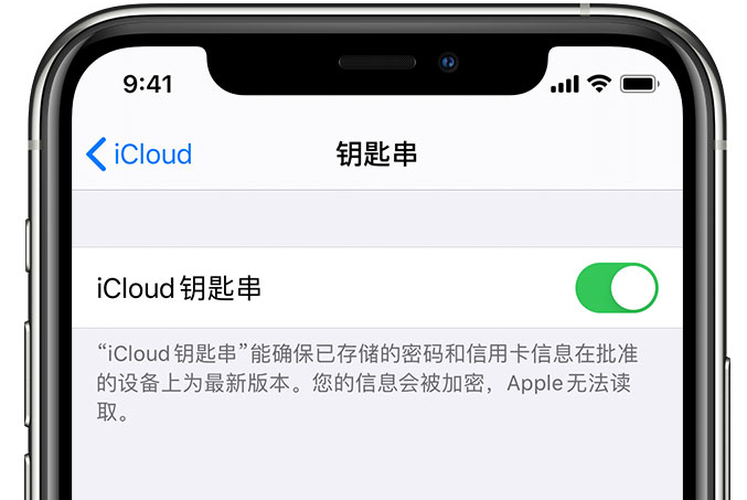 定西苹果手机维修分享在 iPhone 上开启 iCloud 钥匙串之后会储存哪些信息 