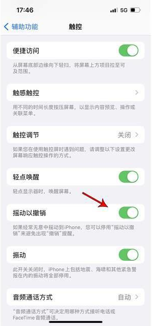 定西苹果手机维修分享iPhone手机如何设置摇一摇删除文字 