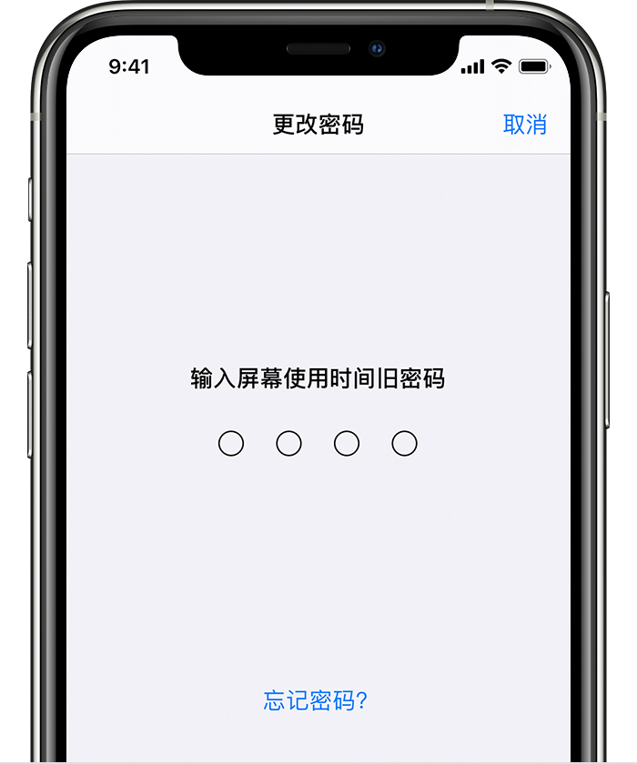 定西苹果手机维修分享iOS 14 忘记屏幕使用时间密码怎么办 